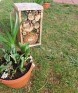 WhatsApp-Image-2025-03-25-at-17.38.47-1