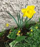 WhatsApp-Image-2025-03-25-at-17.38.47-3