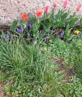 WhatsApp-Image-2025-03-25-at-17.38.47-4