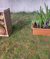 WhatsApp-Image-2025-03-25-at-17.38.47