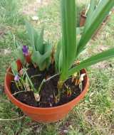 WhatsApp-Image-2025-03-25-at-17.38.48-1