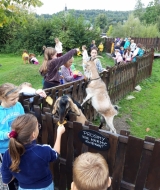 386196674_783265240366775_436887372029328675_n