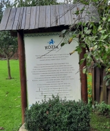 386736057_783264503700182_4093805615288855409_n