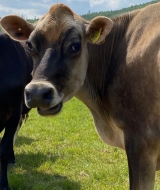 350518334_754731186353334_9005080660890654425_n