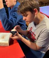 WhatsApp-Image-2026-01-31-at-16.10.16-6