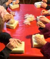 WhatsApp-Image-2026-01-31-at-16.10.16